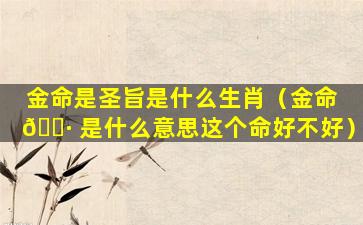 金命是圣旨是什么生肖（金命 🕷 是什么意思这个命好不好）